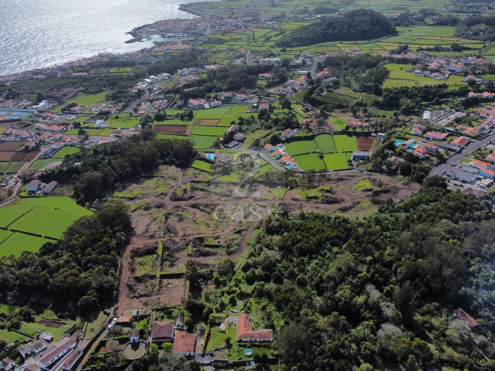 Fantástico terreno urbanizável localizado na freguesia de São Pedro, lugar de São Carlos.