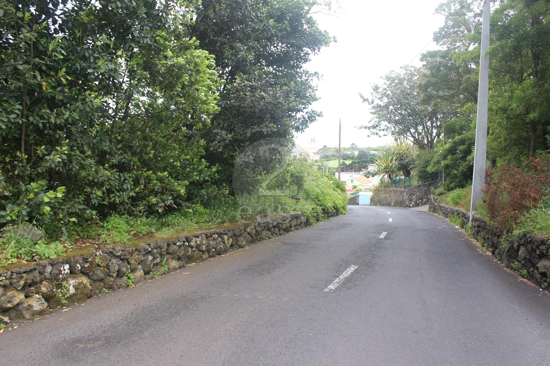 Fantástico terreno urbanizável localizado na freguesia de São Pedro, lugar de São Carlos.