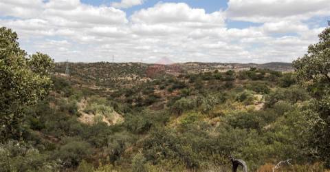 Terreno Rústico Alcoutim