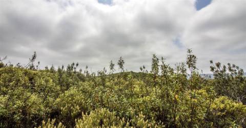 Terreno Rústico  Venda em Alcoutim e Pereiro,Alcoutim