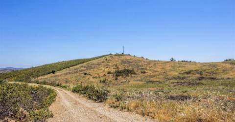 Terreno Rústico  Venda em Alcoutim e Pereiro,Alcoutim