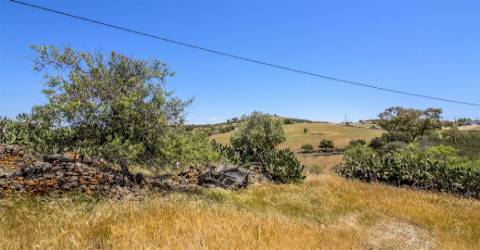 Terreno Rústico  Venda em Alcoutim e Pereiro,Alcoutim