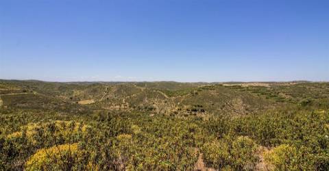 Terreno Rústico  Venda em Alcoutim e Pereiro,Alcoutim