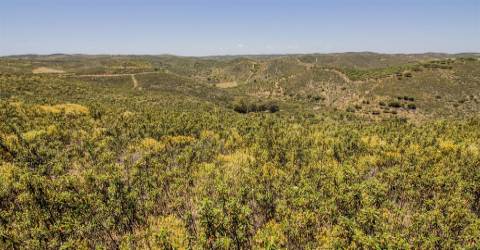 Terreno Rústico  Venda em Alcoutim e Pereiro,Alcoutim