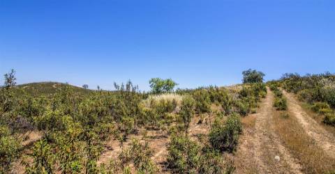 Terreno Rústico  Venda em Alcoutim e Pereiro,Alcoutim