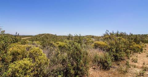 Terreno Rústico  Venda em Alcoutim e Pereiro,Alcoutim