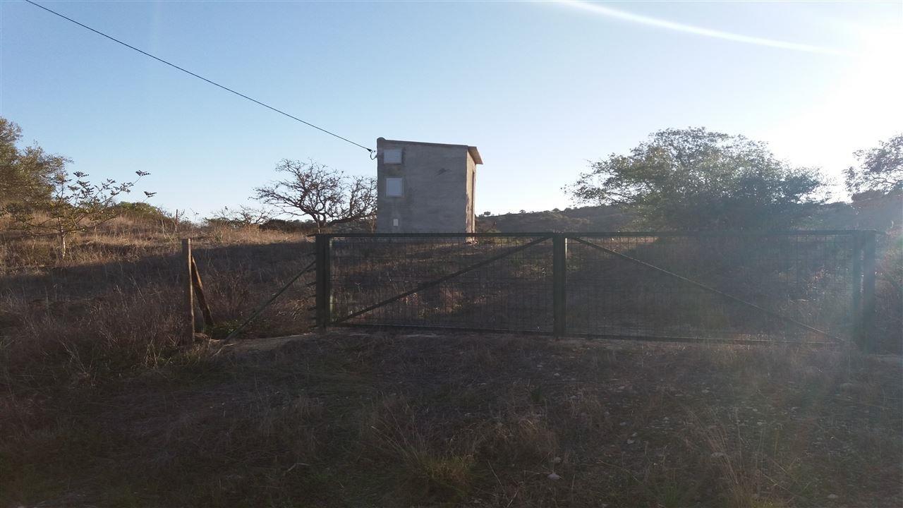 Terreno Rústico  Venda em Alcoutim e Pereiro,Alcoutim