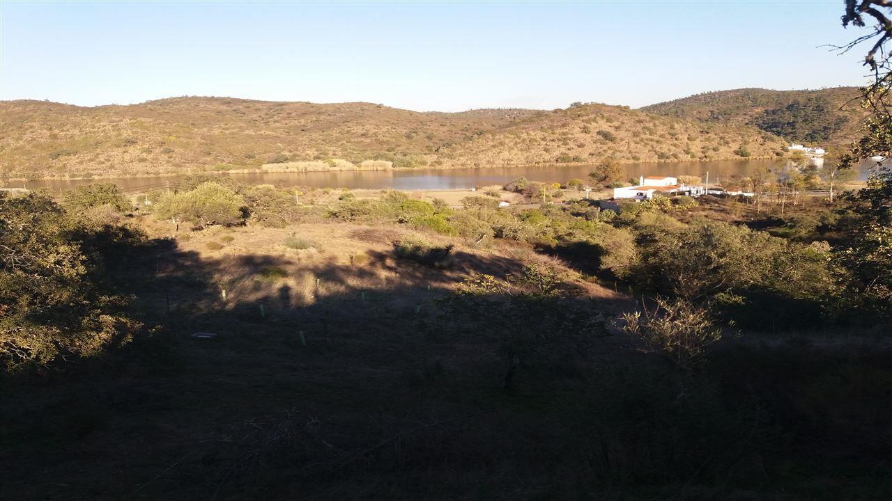 Terreno Rústico  Venda em Alcoutim e Pereiro,Alcoutim