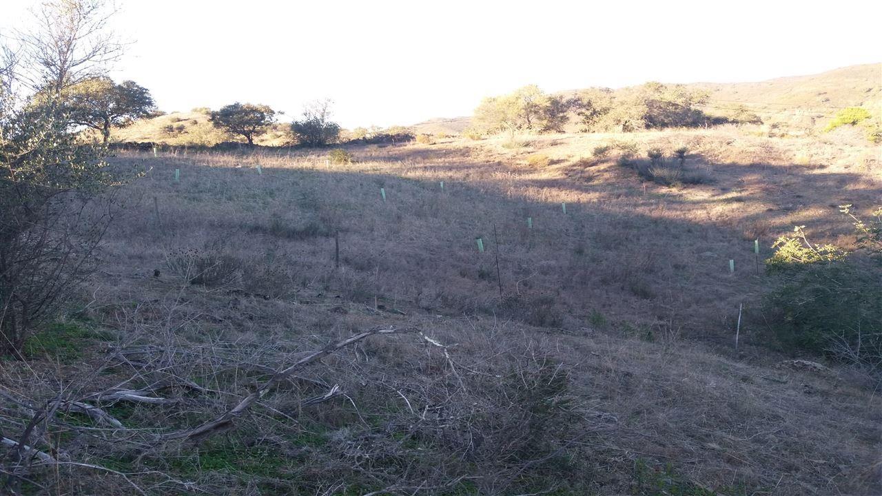 Terreno Rústico  Venda em Alcoutim e Pereiro,Alcoutim