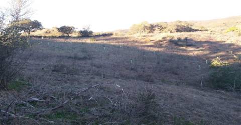 Terreno Rústico  Venda em Alcoutim e Pereiro,Alcoutim