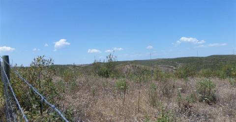 Terreno Rústico  Venda em Alcoutim e Pereiro,Alcoutim