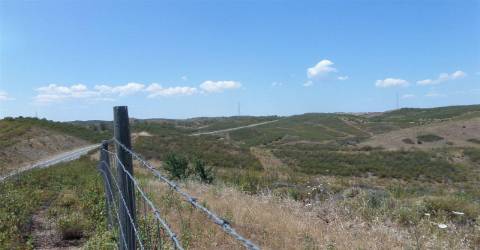 Terreno Rústico  Venda em Alcoutim e Pereiro,Alcoutim