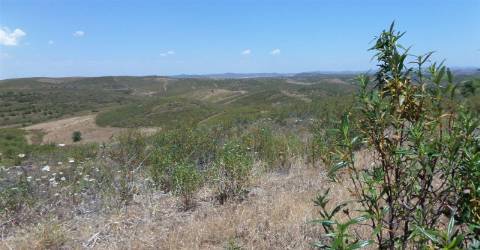 Terreno Rústico  Venda em Alcoutim e Pereiro,Alcoutim