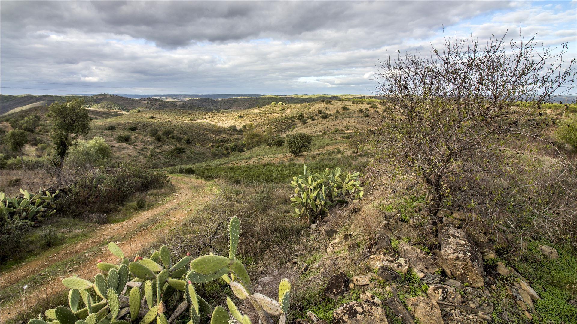 Terreno Rústico  Venda em Odeleite,Castro Marim