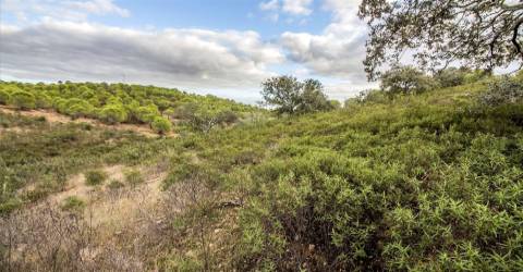 Terreno Rústico  Venda em Odeleite,Castro Marim