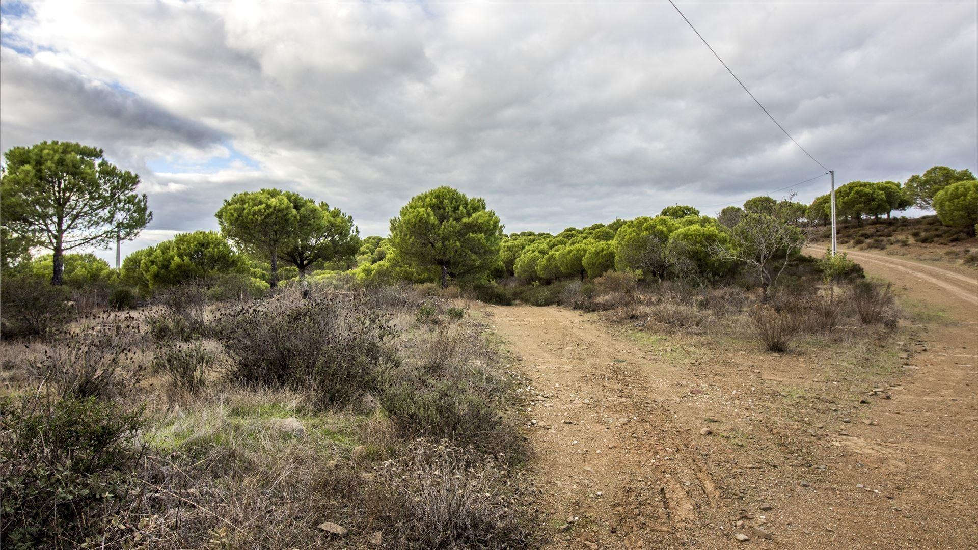 Terreno Rústico  Venda em Odeleite,Castro Marim