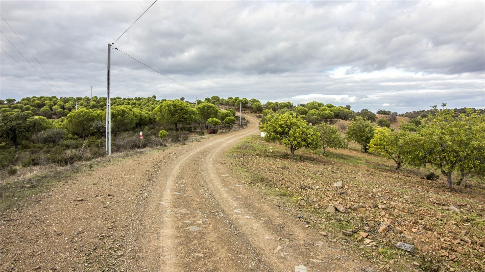 Terreno Rústico  Venda em Odeleite,Castro Marim