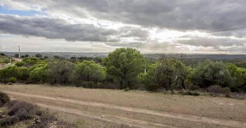 Terreno Rústico  Venda em Odeleite,Castro Marim