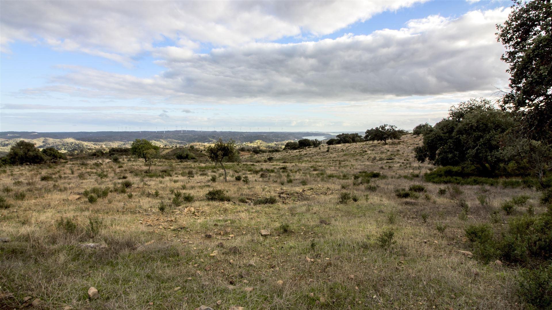 Terreno Rústico  Venda em Odeleite,Castro Marim