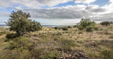 Terreno Rústico  Venda em Odeleite,Castro Marim