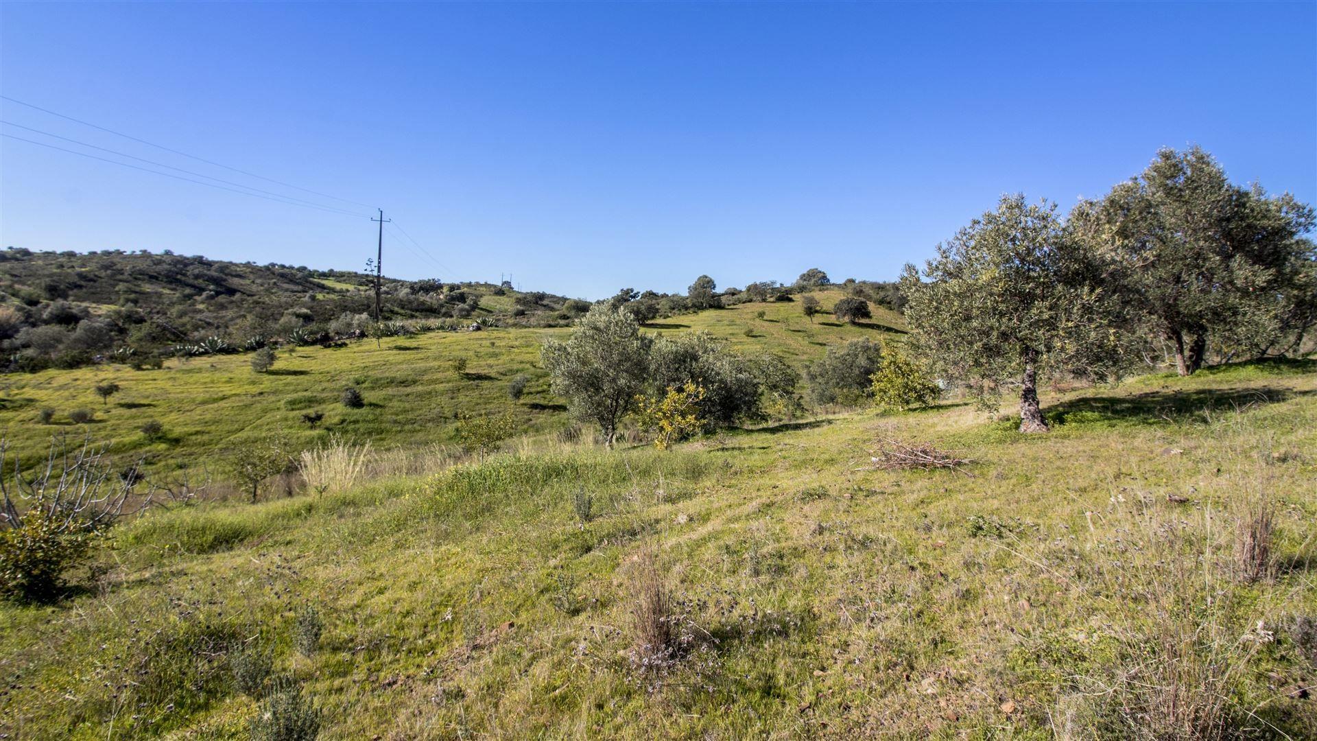 Terreno Rústico  Venda em Castro Marim,Castro Marim