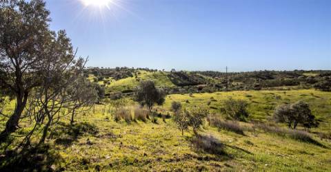 Terreno Rústico  Venda em Castro Marim,Castro Marim