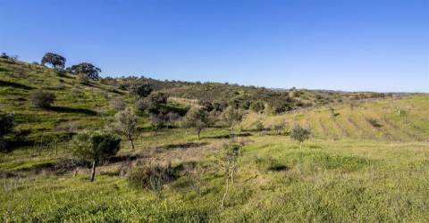 Terreno Rústico  Venda em Castro Marim,Castro Marim