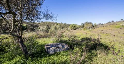 Terreno Rústico  Venda em Castro Marim,Castro Marim