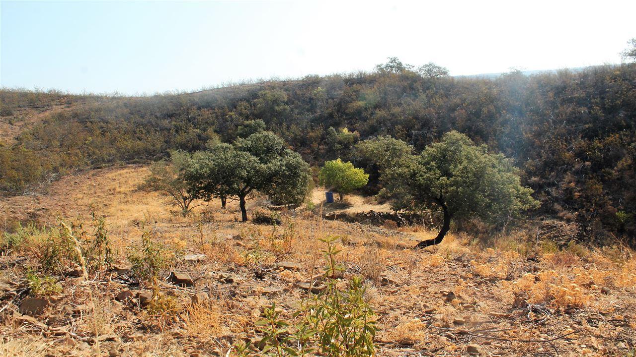 Terreno Rústico  Venda em Azinhal,Castro Marim