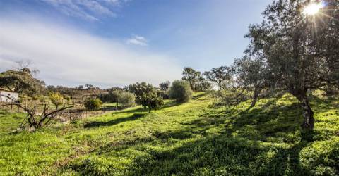 Terreno Rústico  Venda em Vila Nova de Cacela,Vila Real de Santo António