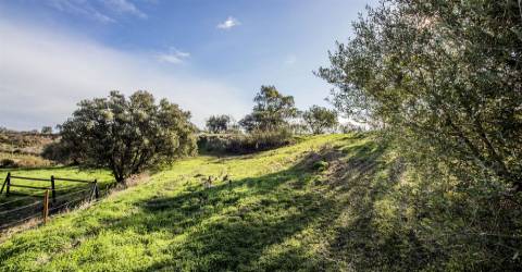 Terreno Rústico  Venda em Vila Nova de Cacela,Vila Real de Santo António