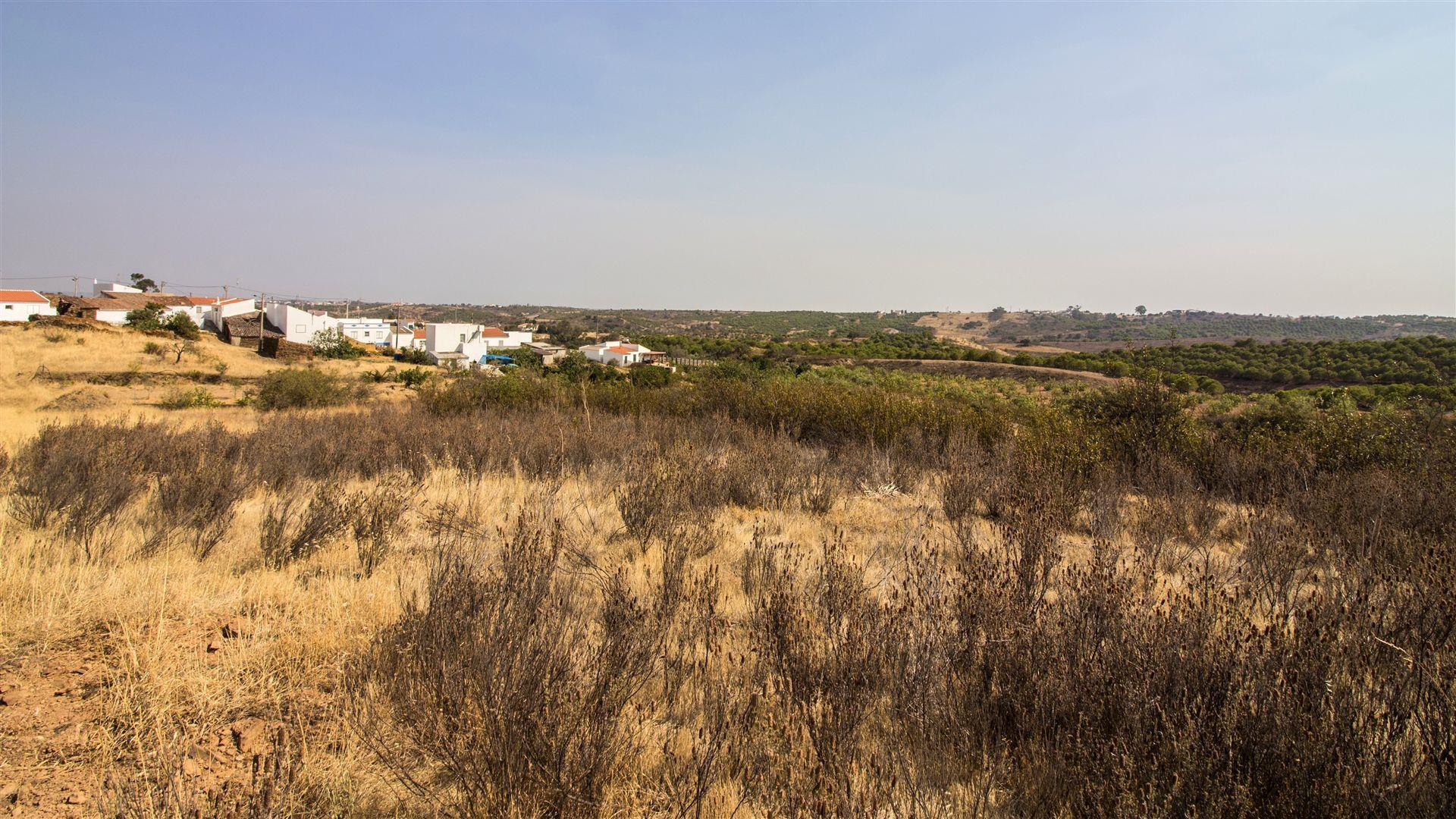 Terreno Rústico  Venda em Azinhal,Castro Marim