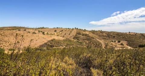 Terreno Rústico  Venda em Castro Marim,Castro Marim