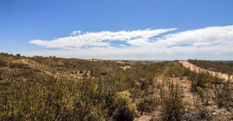 Terreno Rústico  Venda em Castro Marim,Castro Marim