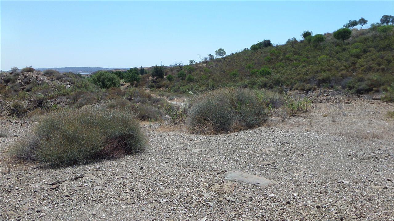 Lote de Terreno  Venda em Castro Marim,Castro Marim