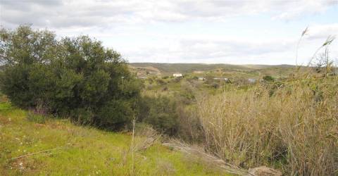 Terreno Rústico no Azinhal