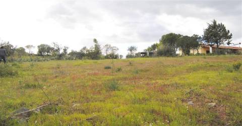 Terreno Rústico no Azinhal