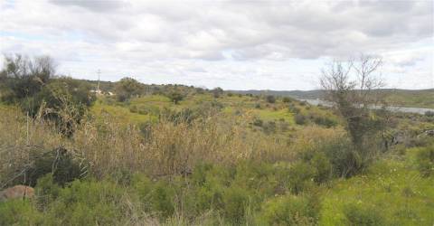Terreno Rústico no Azinhal
