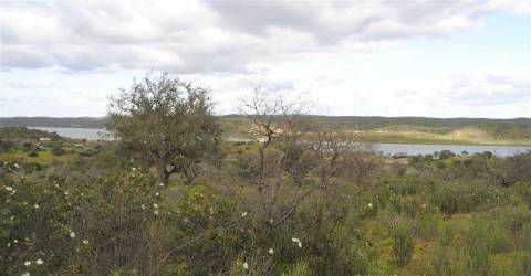 Terreno Rústico no Azinhal