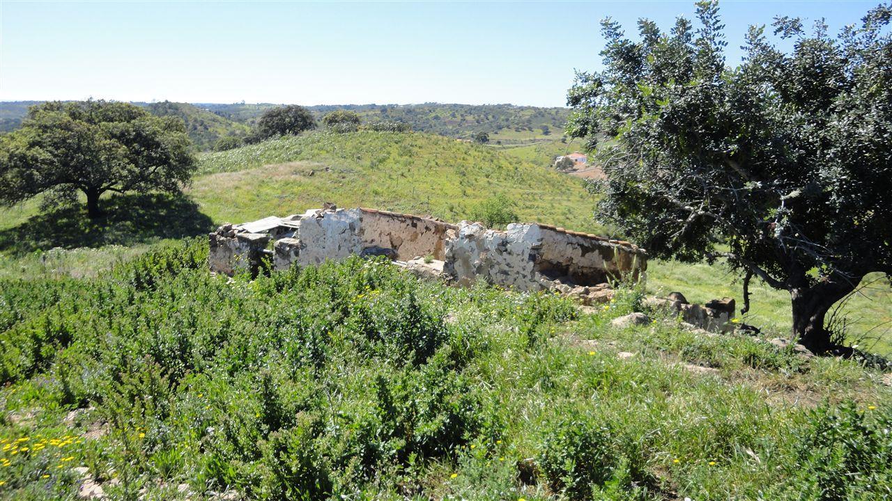 Terreno Misto, Rio Seco