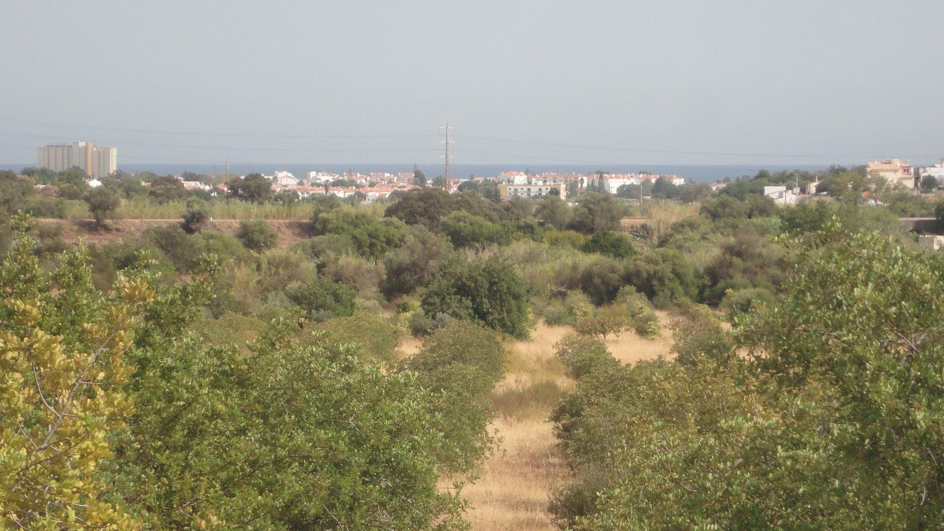 Terreno Misto  Venda em Altura,Castro Marim