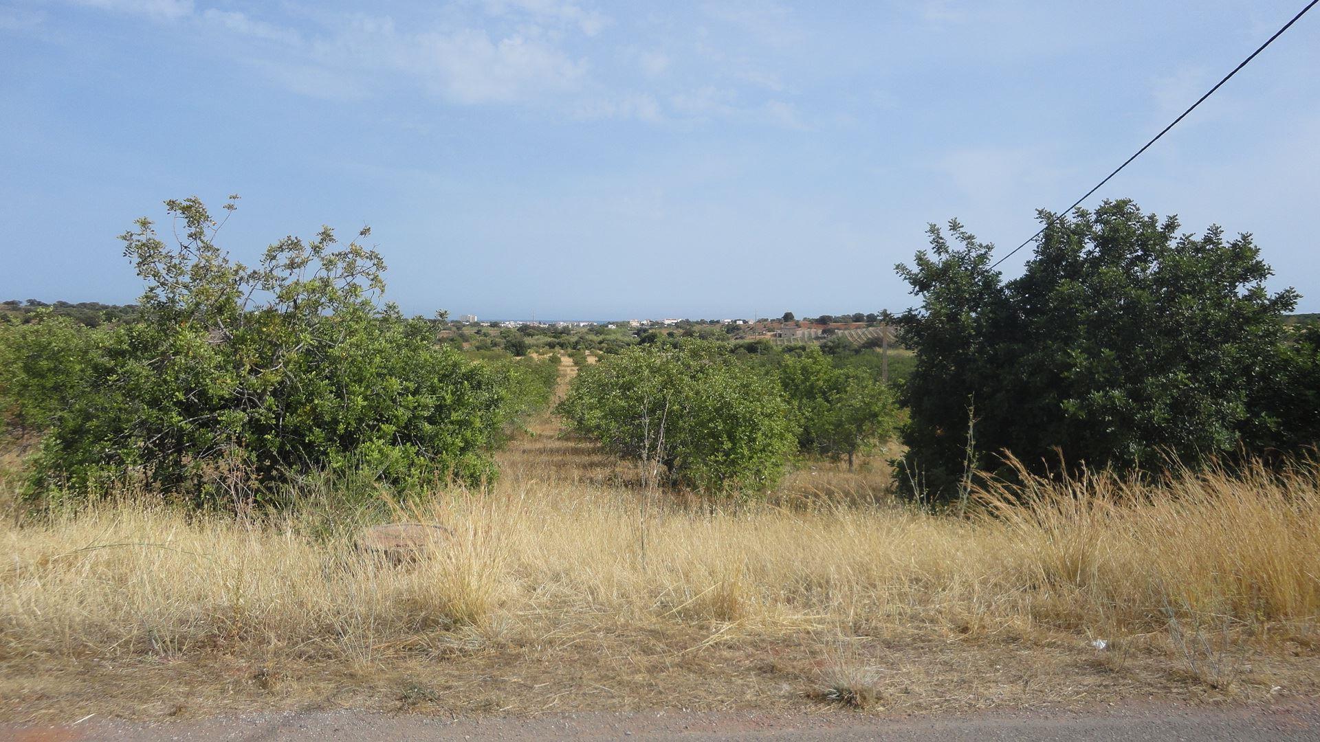 Terreno Misto  Venda em Altura,Castro Marim