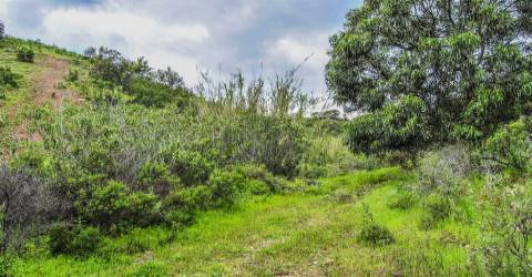 Terreno Rústico  Venda em Vila Nova de Cacela,Vila Real de Santo António