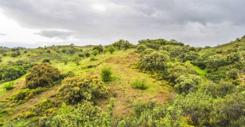 Terreno Rústico em Vila Nova de Cacela