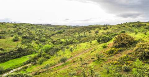 Terreno Rústico em Vila Nova de Cacela