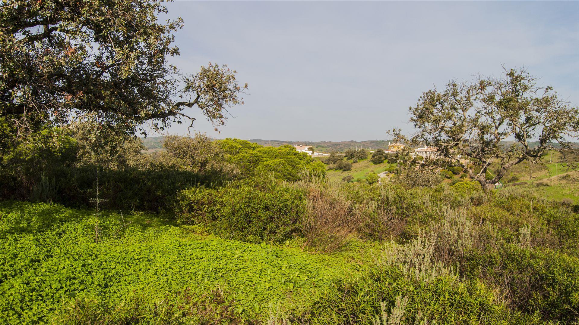 Terreno Rústico  Venda em Castro Marim,Castro Marim