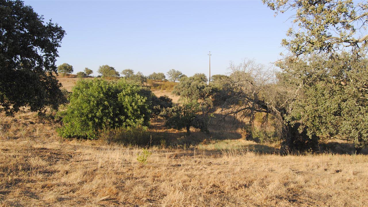 Terreno Rústico  Venda em Odeleite,Castro Marim