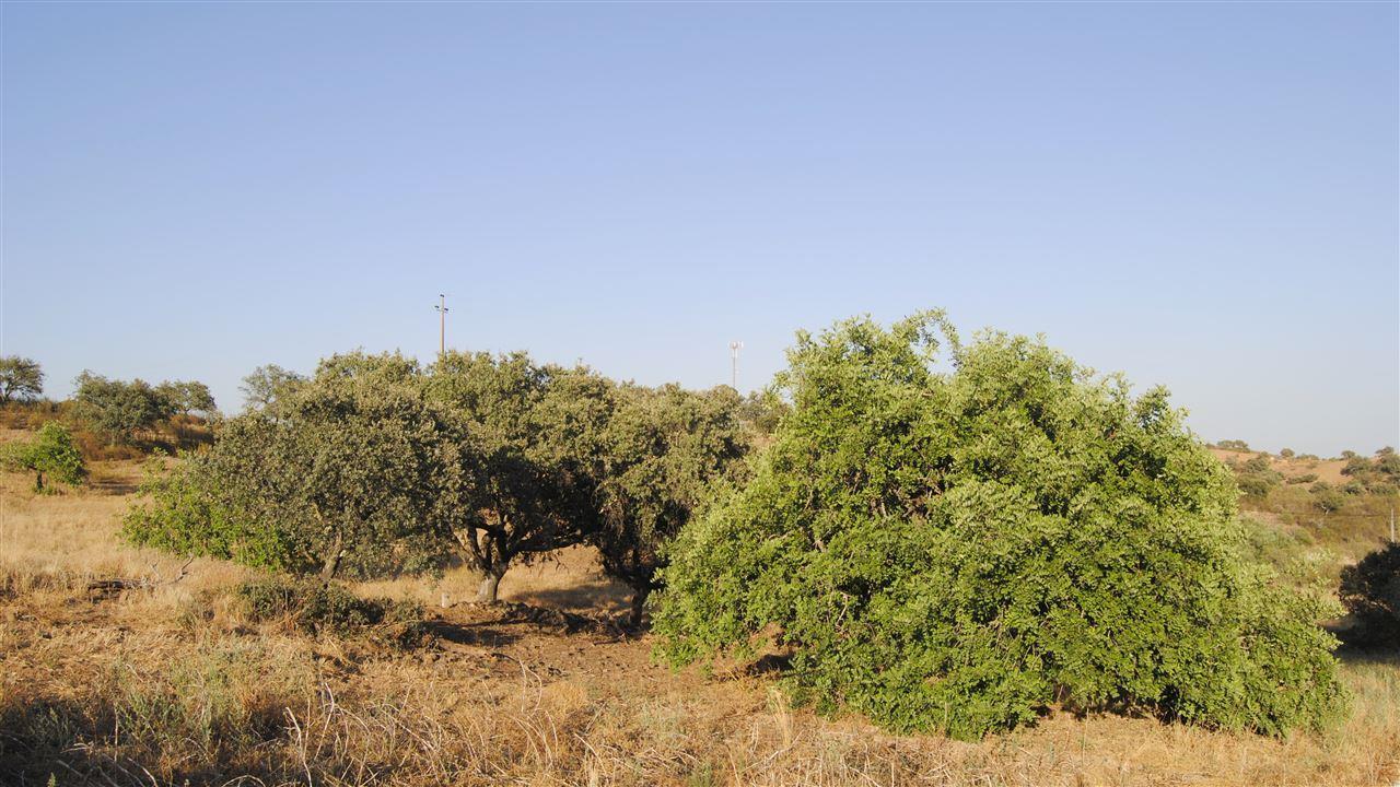 Terreno Rústico  Venda em Odeleite,Castro Marim