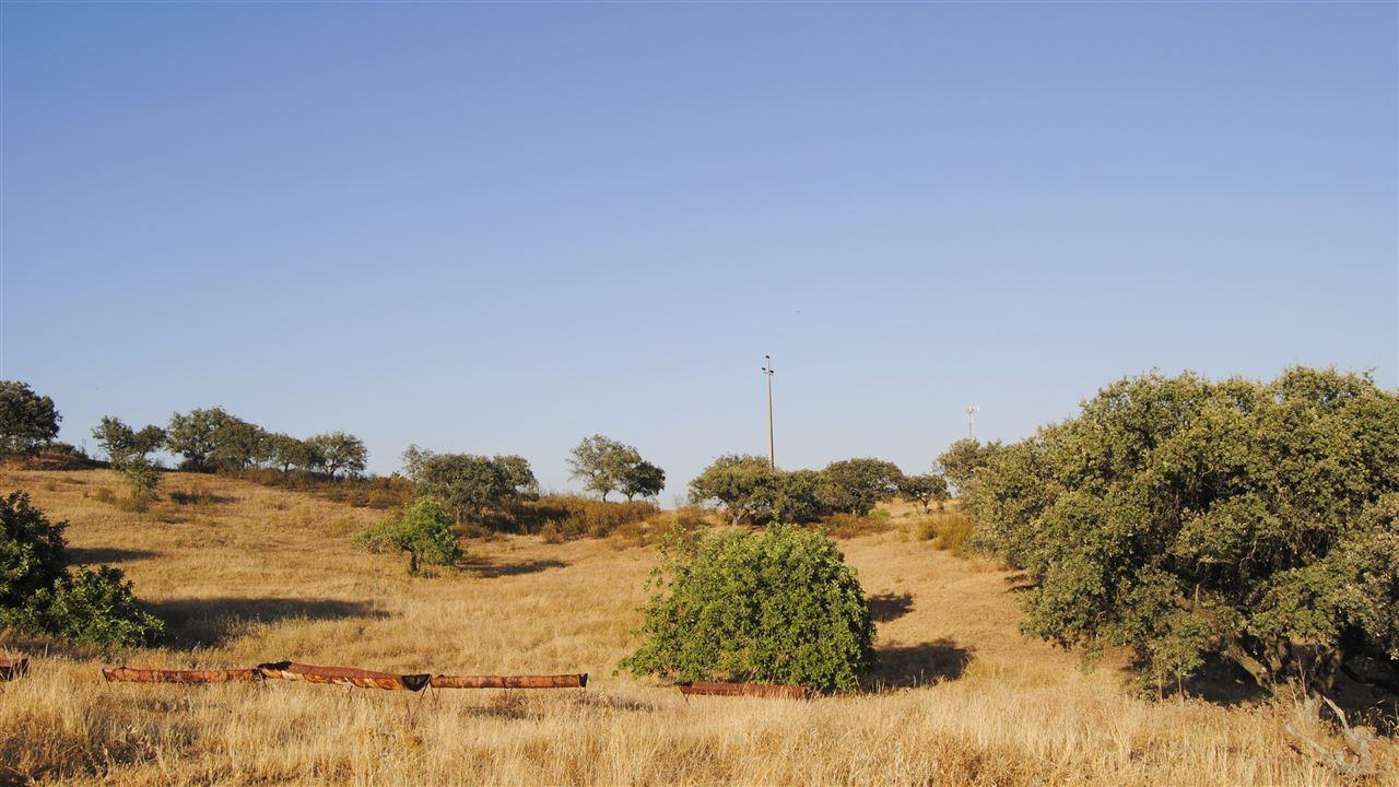 Terreno Rústico  Venda em Odeleite,Castro Marim