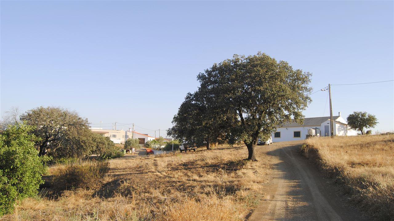 Terreno Rústico  Venda em Odeleite,Castro Marim